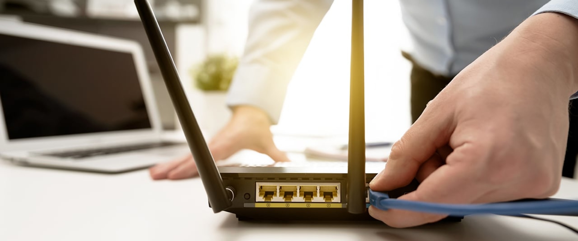 A Comprehensive Guide to the Router: Everything You Need to Know