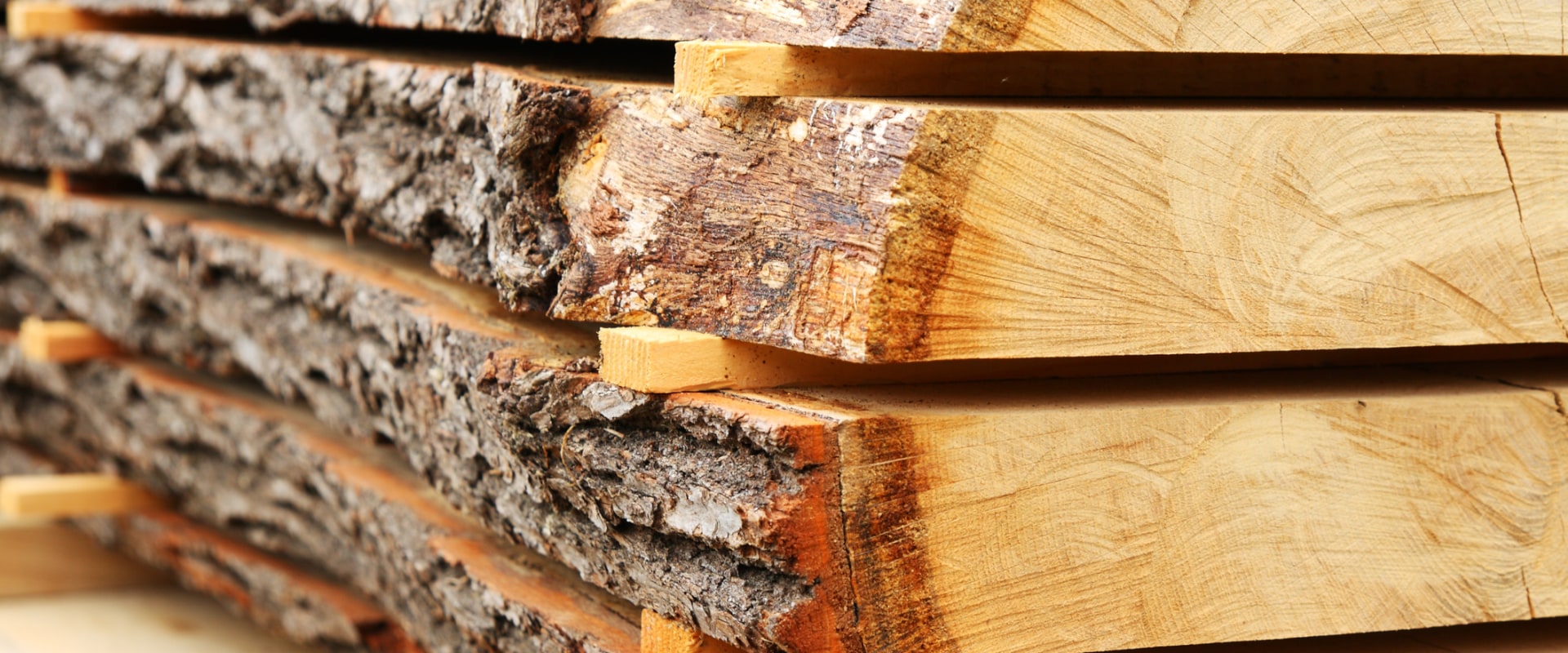 Hardwood vs. Softwood: Understanding the Differences for Your Woodworking Projects